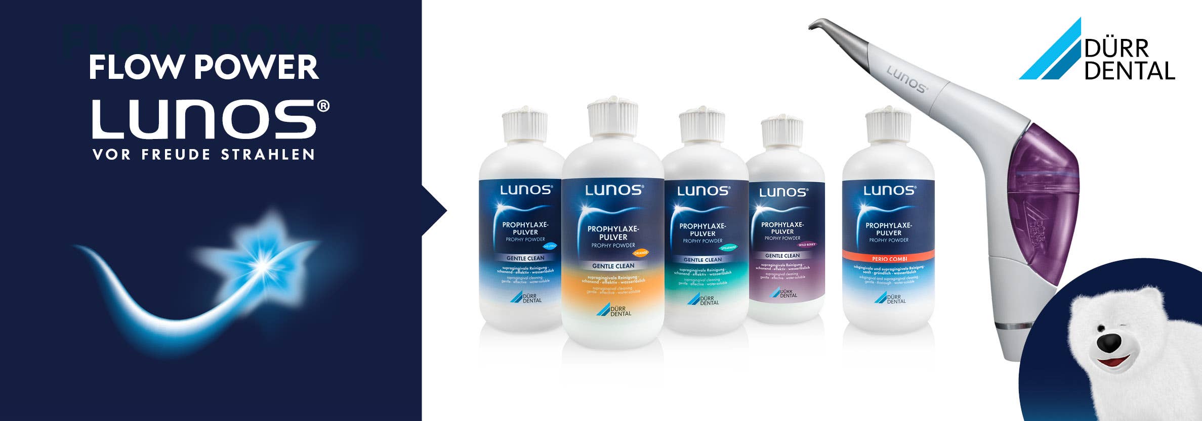 PZR professionelle Zahnreinigung Reinigungspulver Prophylaxepulver Polierpaste Reinigungspaste Mundspüllung Fluoridgel Fissurenversiegelung